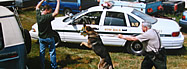 Law Enforcement and WMD Weapons of Mass Destruction Response training for Northern CA